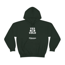 Load image into Gallery viewer, Yes I&#39;m Cold Hoodie