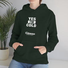 Load image into Gallery viewer, Yes I'm Cold Hoodie